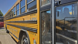 2006 Blue Bird full
