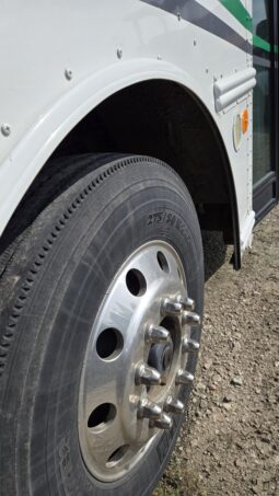 2009 Thomas Saf-t-Liner  Activity Bus 56-Passenger full