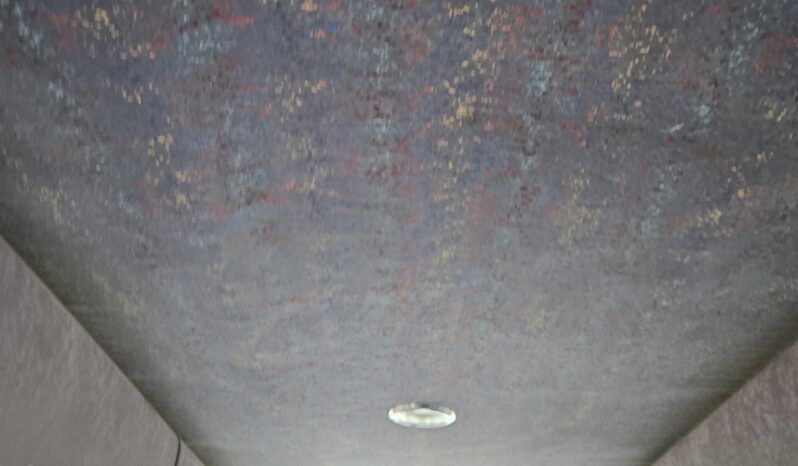 2000 Thomas Blue Bird Touring Coach 56 Passenger full