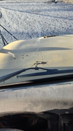 2010 BlueBird Bus 77pass (W/in & out Storage!) full