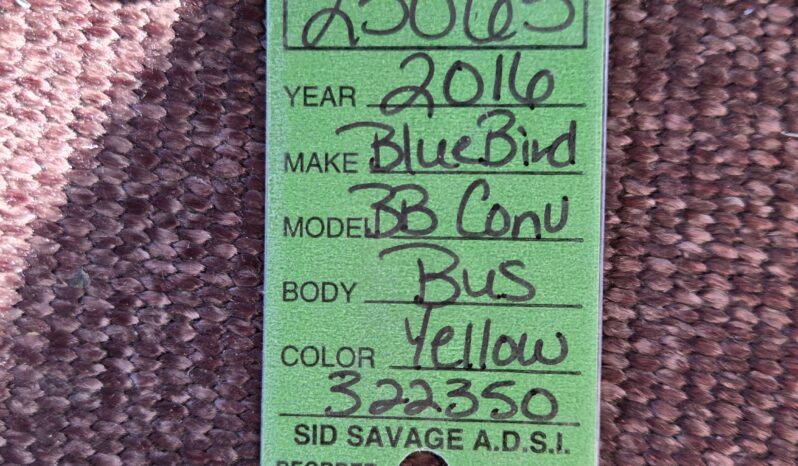 2016 Blue Bird BB Conv 53pass (Low Miles) full