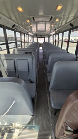 2010 Thomas Freightliner 66/pas full