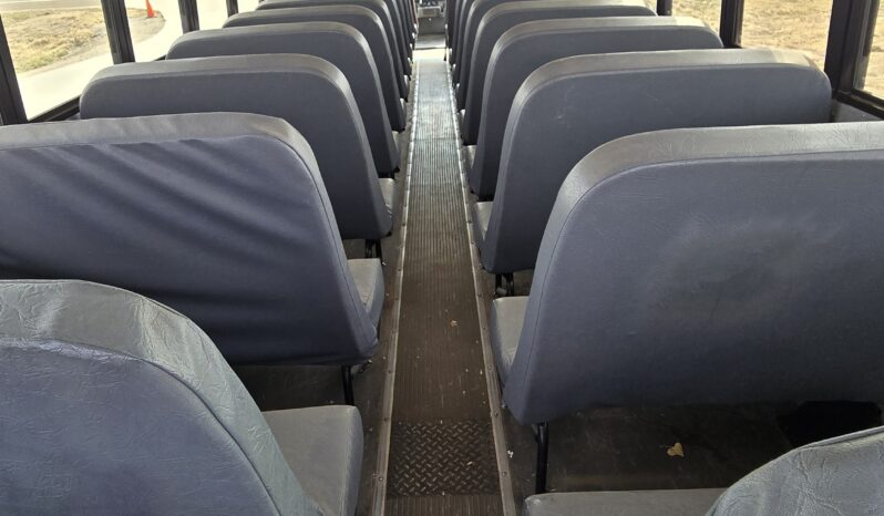 2010 Thomas Freightliner 66/pas full