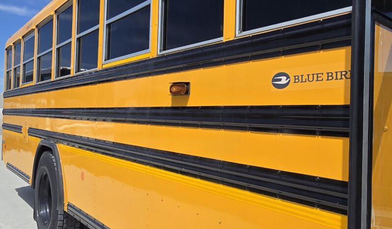 2021 BlueBird Vision 53pass (22Kmi) full