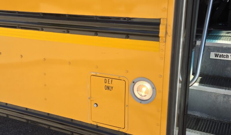 2021 Blue Bird 53-Cap (23Kmi) full