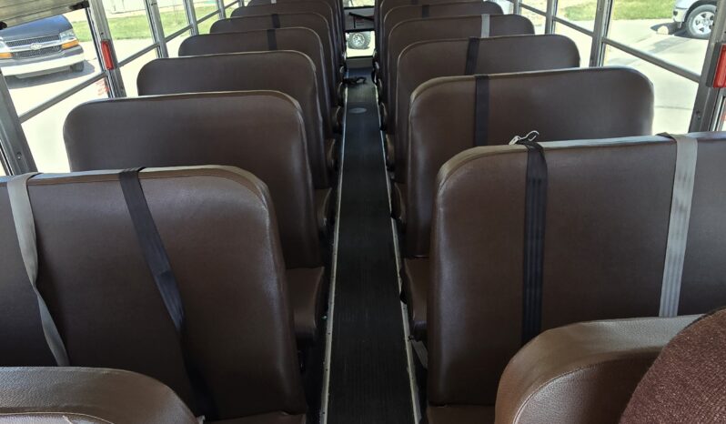2021 Blue Bird 53-Cap (23Kmi) full