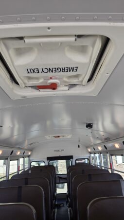 2021 Blue Bird 53-Cap (23Kmi) full
