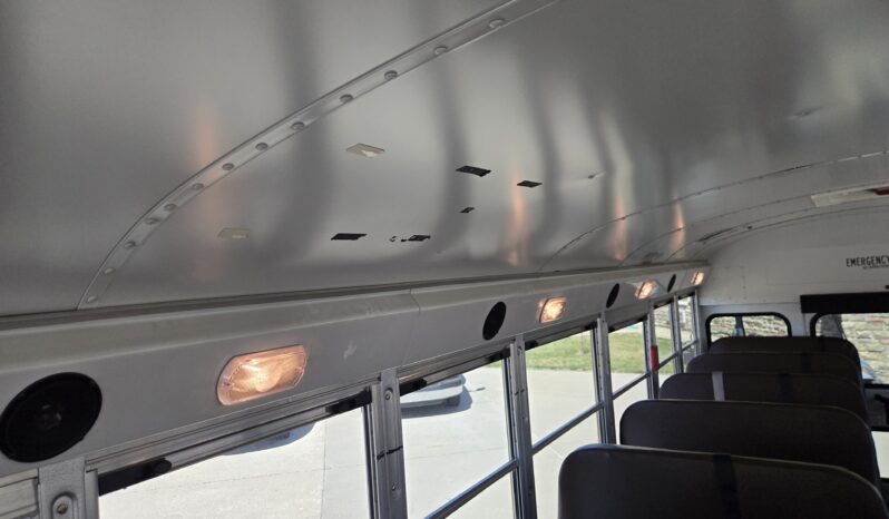 2021 Blue Bird 53-Cap (23Kmi) full