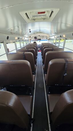 2021 Blue Bird 53-Cap (23Kmi) full