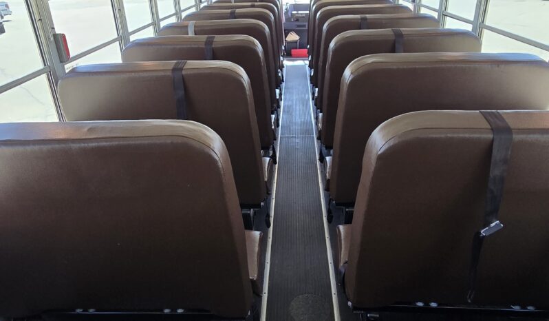 2021 Blue Bird 53-Cap (23Kmi) full
