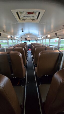 2021 Bluebird Vision 53/pass- 23Kmi full