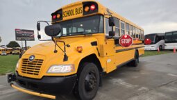 2021 Bluebird Vision 53/pass- 24Kmi