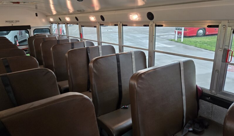 2021 Bluebird Vision 53/pass- 24Kmi full